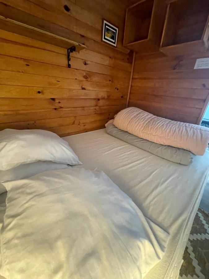 Appart 5 Pers Piau Engaly L Izard La Gela Pistes A 50M 아라뉴엣 외부 사진